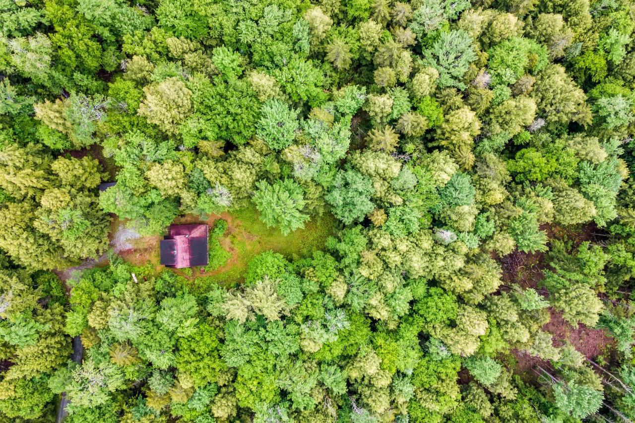 Lost Pond Cabin Schroon Lake Eksteriør billede