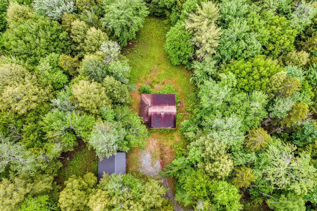 Lost Pond Cabin Schroon Lake Eksteriør billede